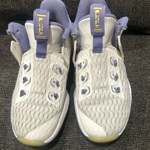 Lebron James basketball shoes